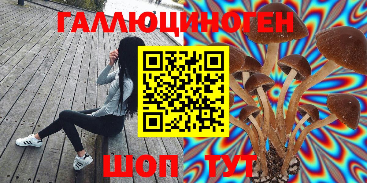 Тутаев  Псилоцибиновые грибы мицелий  Вход с VPN 